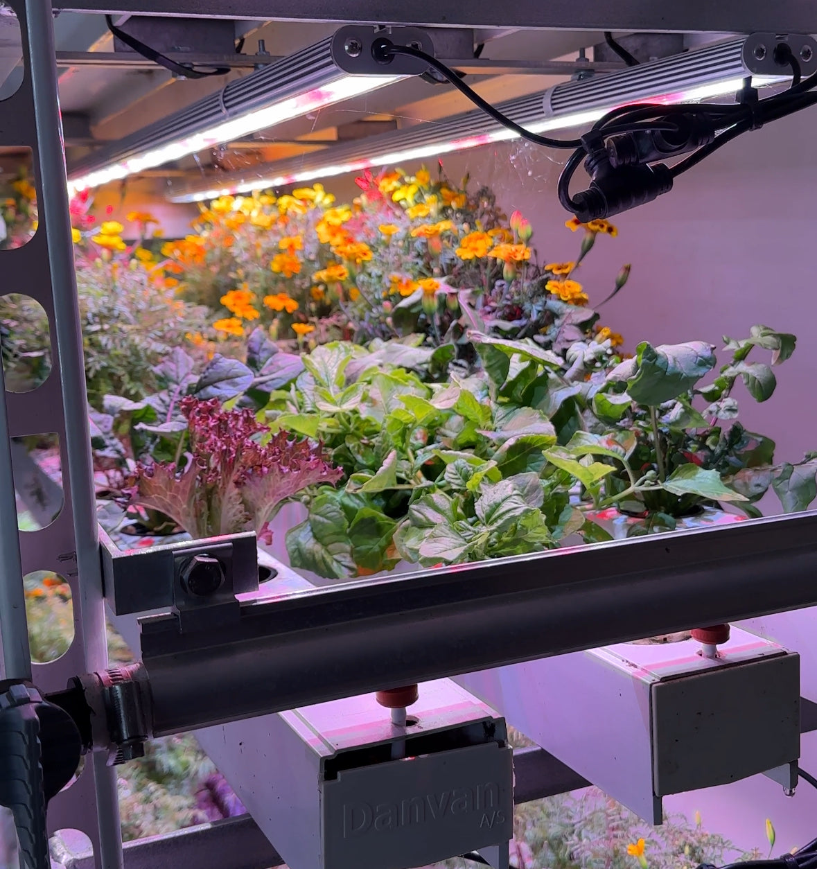 Building your own vertical farm