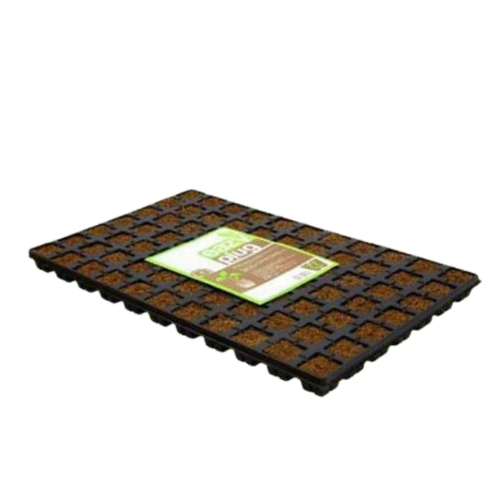 Easy Plug 77 Cubes