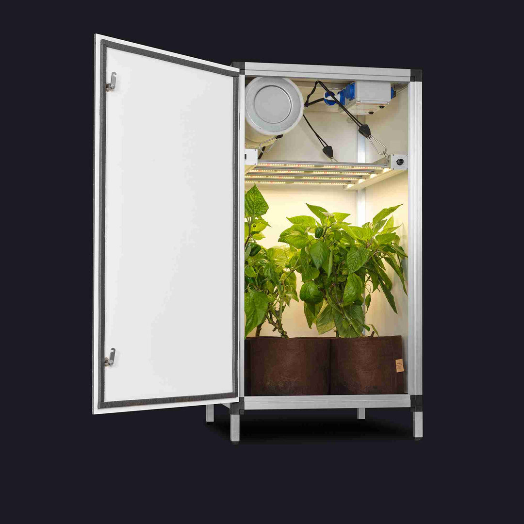 Growbox Short (0,35m2) + 170 Watt dimmable LED Growlight