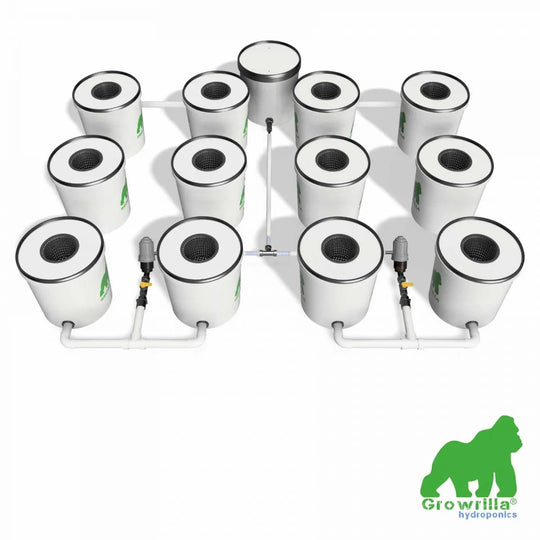 HYDROPONICS SYSTEM RDWC 12 POTS