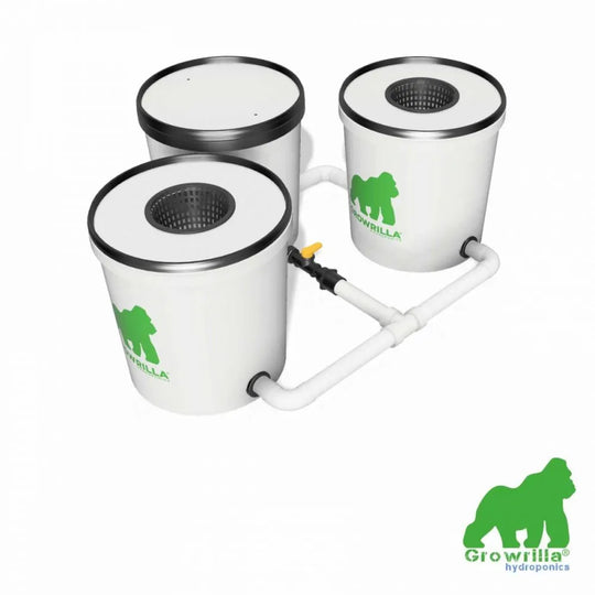 HYDROPONICS SYSTEM RDWC 2 POTS