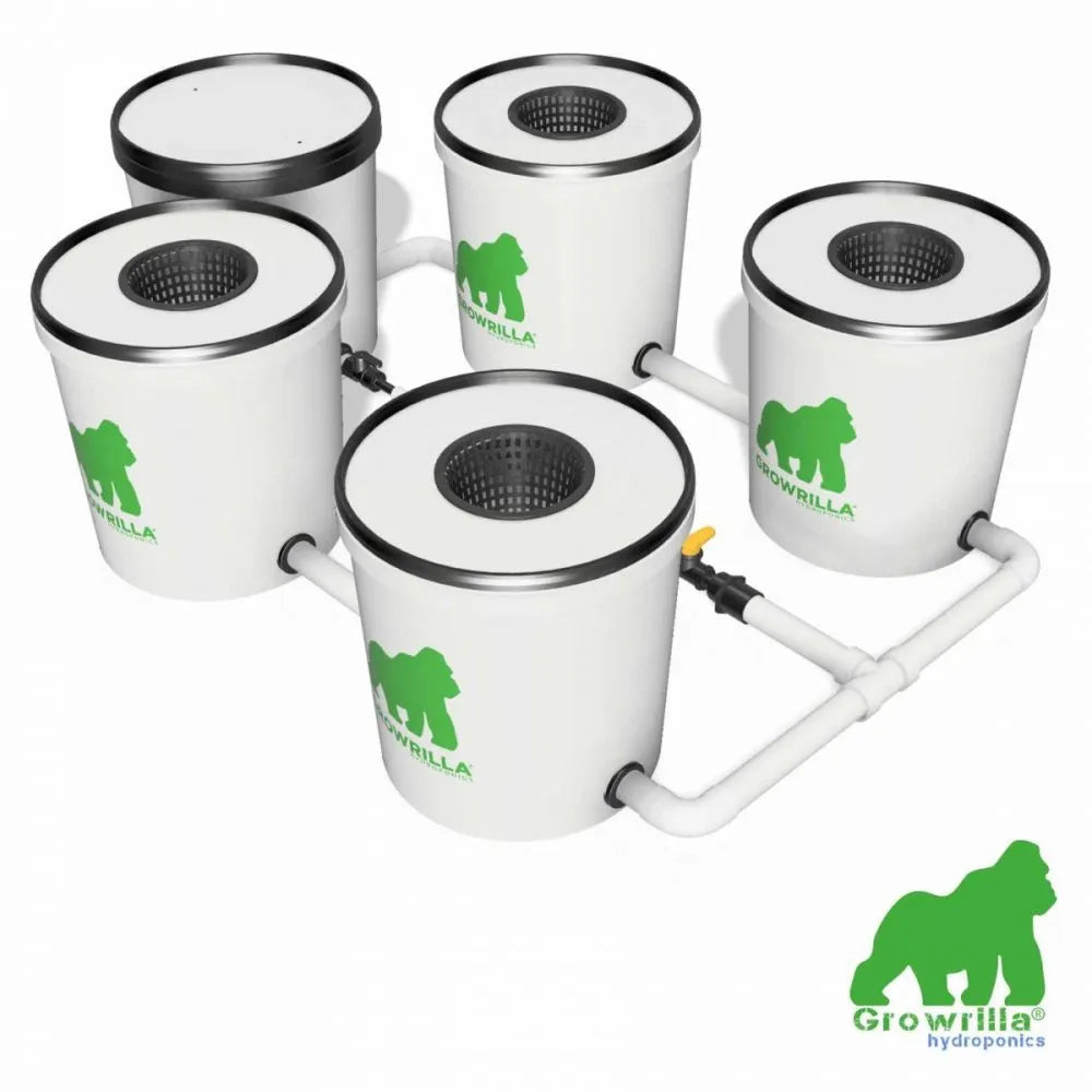 HYDROPONICS System RDWC PRO 4 POTS