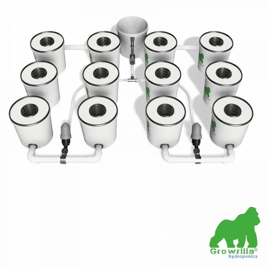 HYDROPONICS System RDWC PRO 12 POTS 4 ROWS