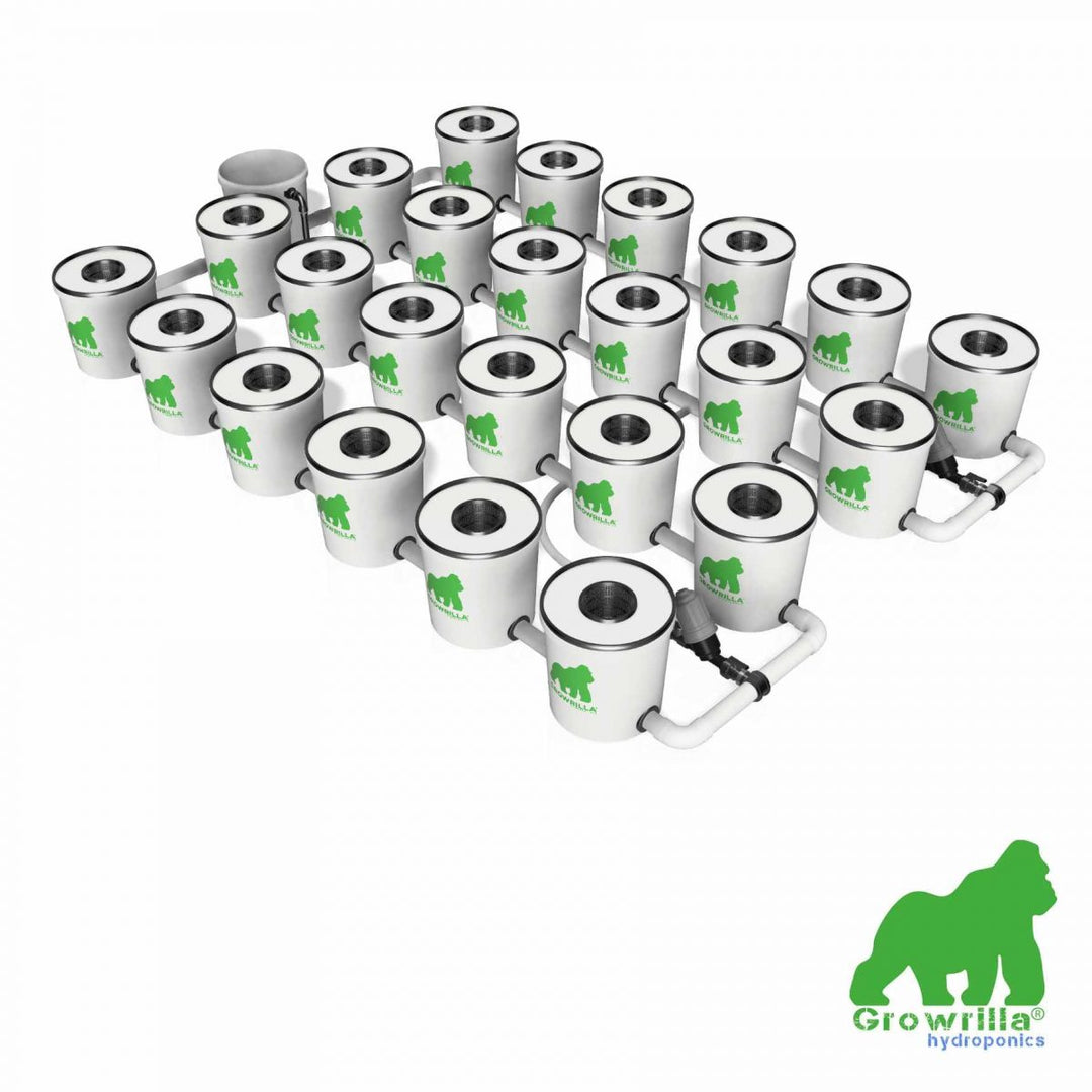 HYDROPONICS System RDWC PRO 24 POTS 4 ROWS