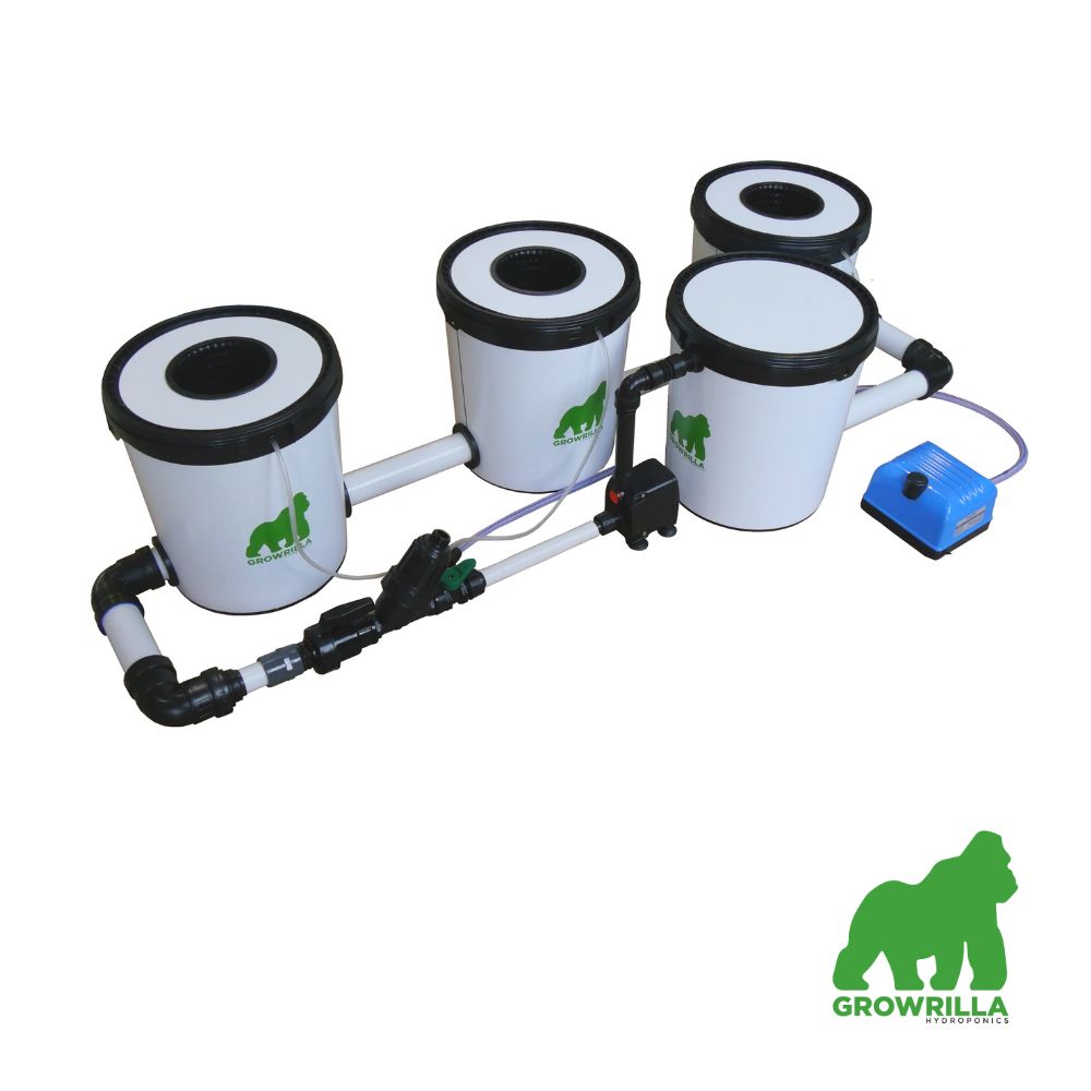 HYDROPONICS System RDWC PRO 3 POTS IN LINE
