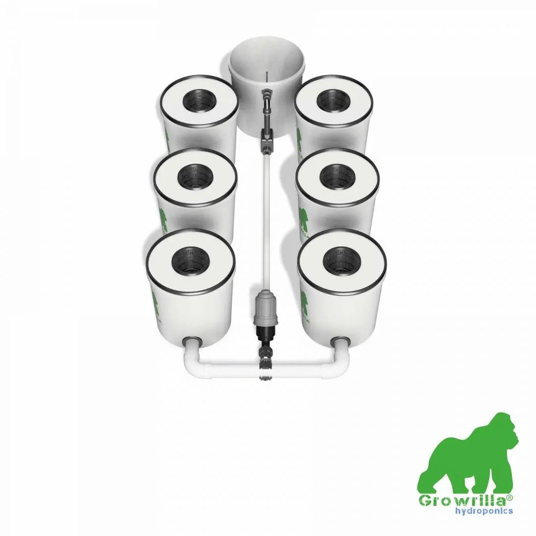 HYDROPONICS System RDWC PRO 6 POTS