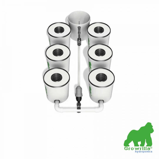 HYDROPONICS System RDWC PRO 6 POTS