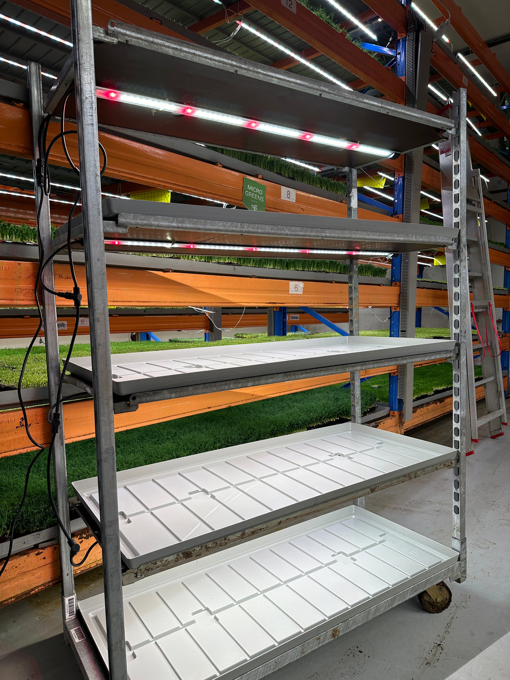 4 x 29 watin LED-kasvivalosarja sisäkäyttöön