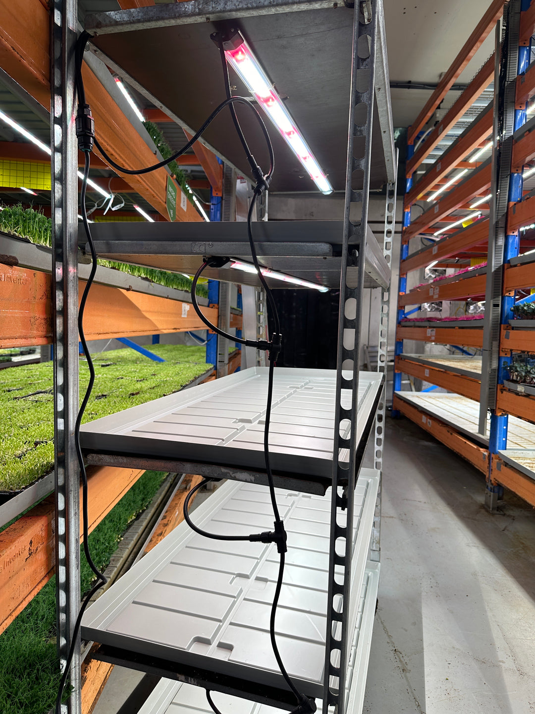 4 x Indoor 29 Watt Led Growlight Kit