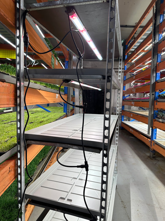 4 x Indoor 29 Watt Led Growlight Kit