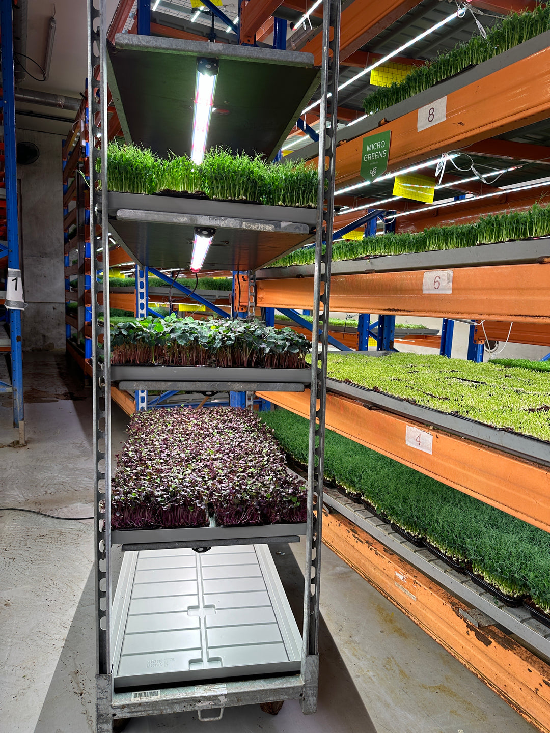 4 x Indoor 29 Watt Led Growlight Kit