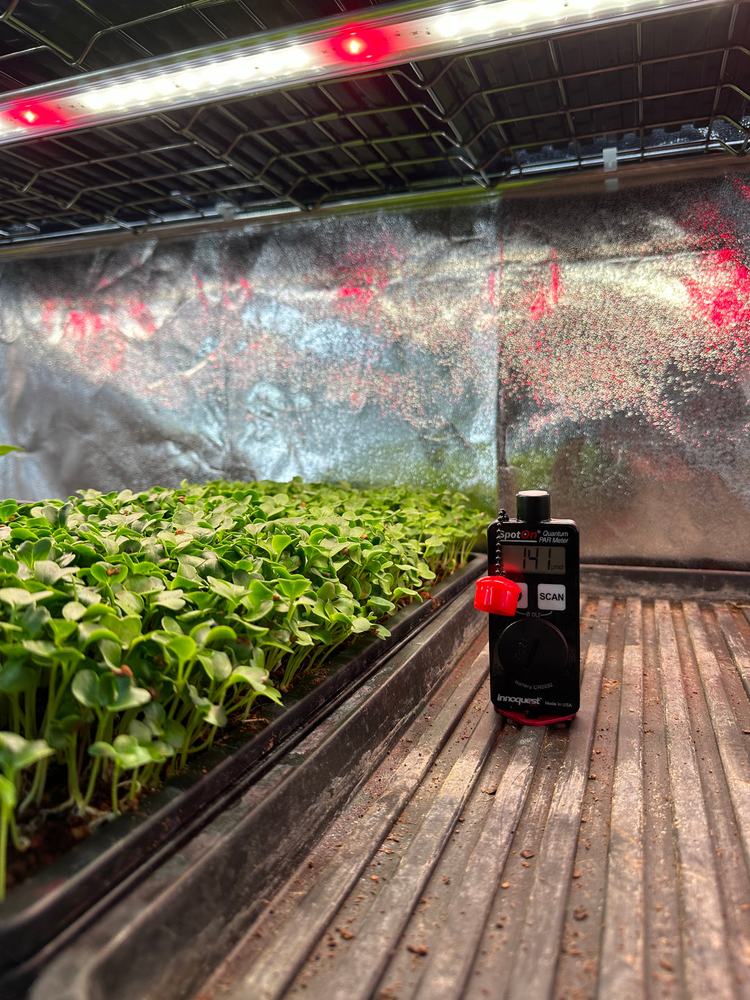 4 x Indoor 29 Watt Led Growlight Kit