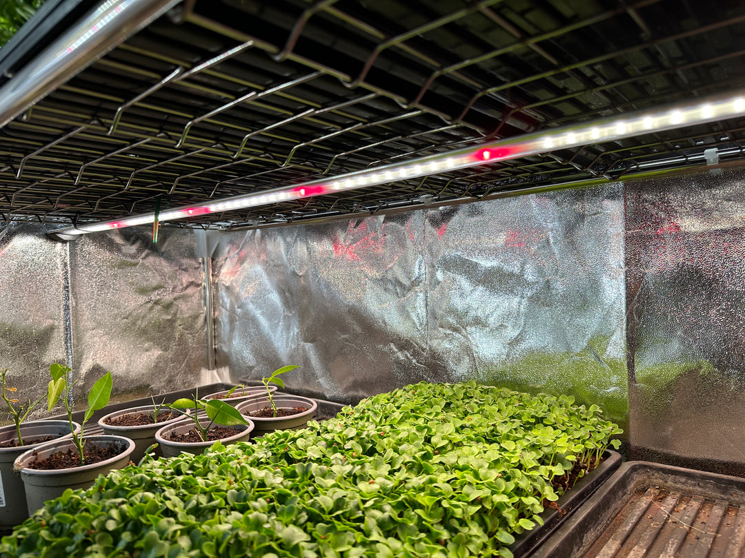 4 x Indoor 29 Watt Led Growlight Kit