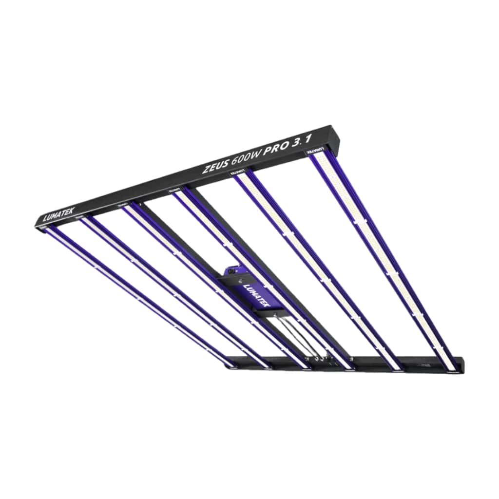 LUMATEK – Zeus 600W pro 3,1