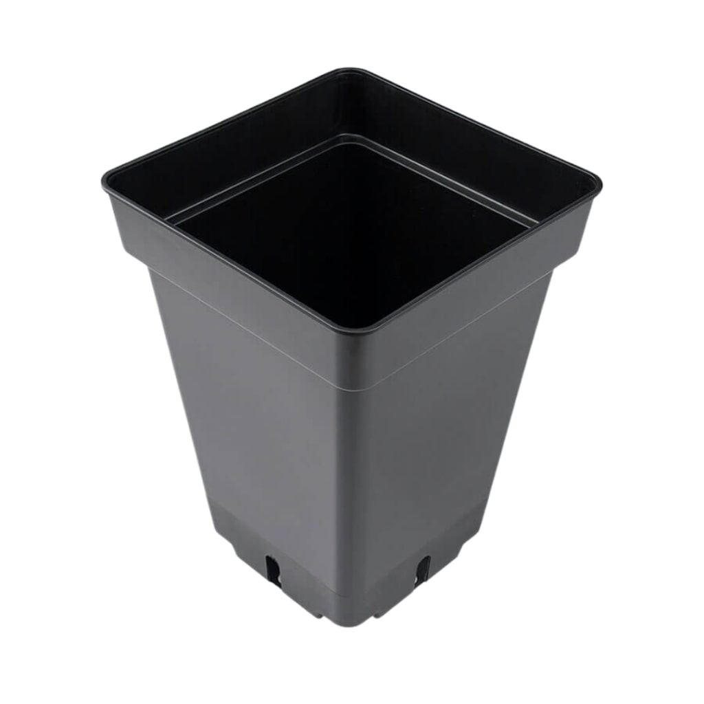 PLANT POT