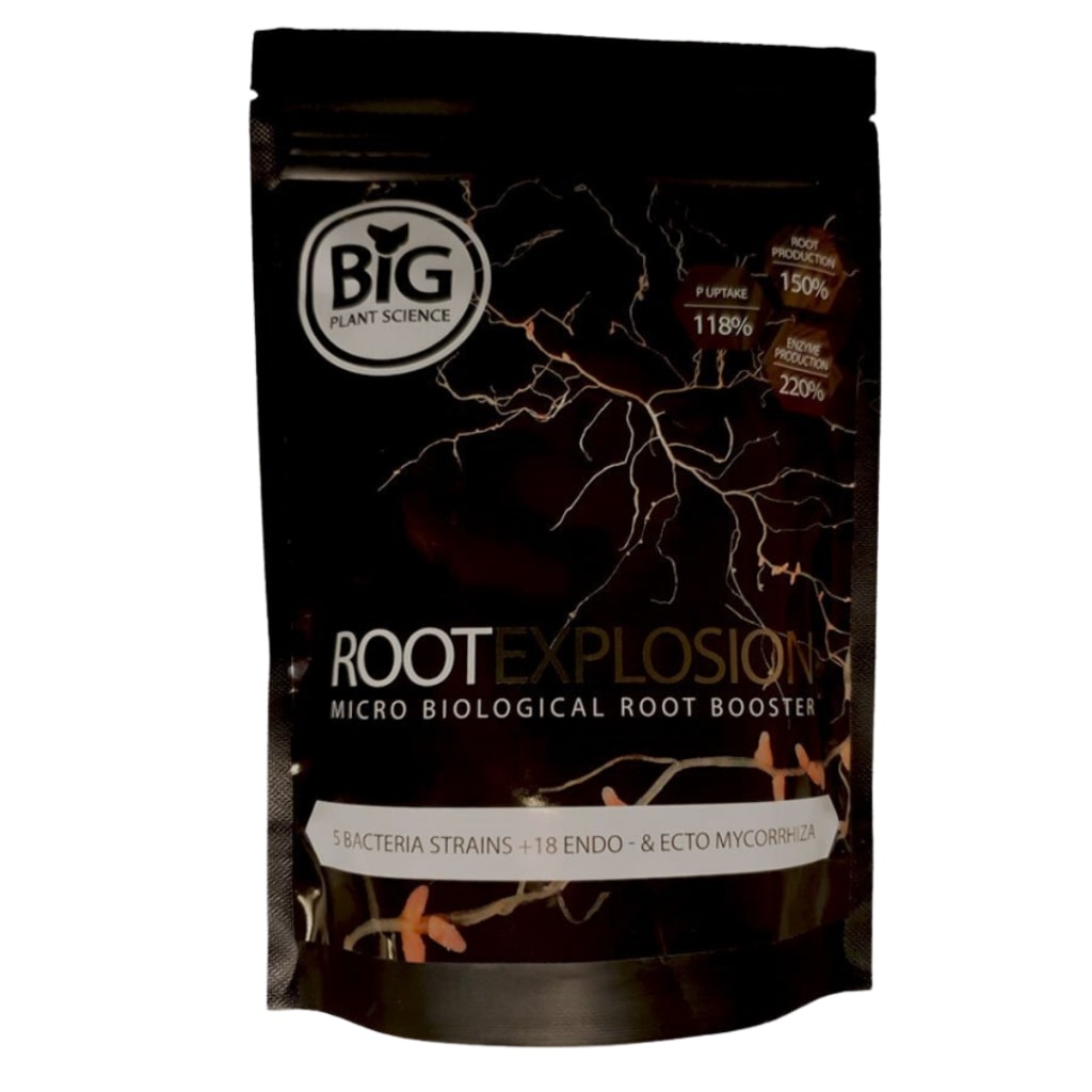 ROOT EXPLOSION
