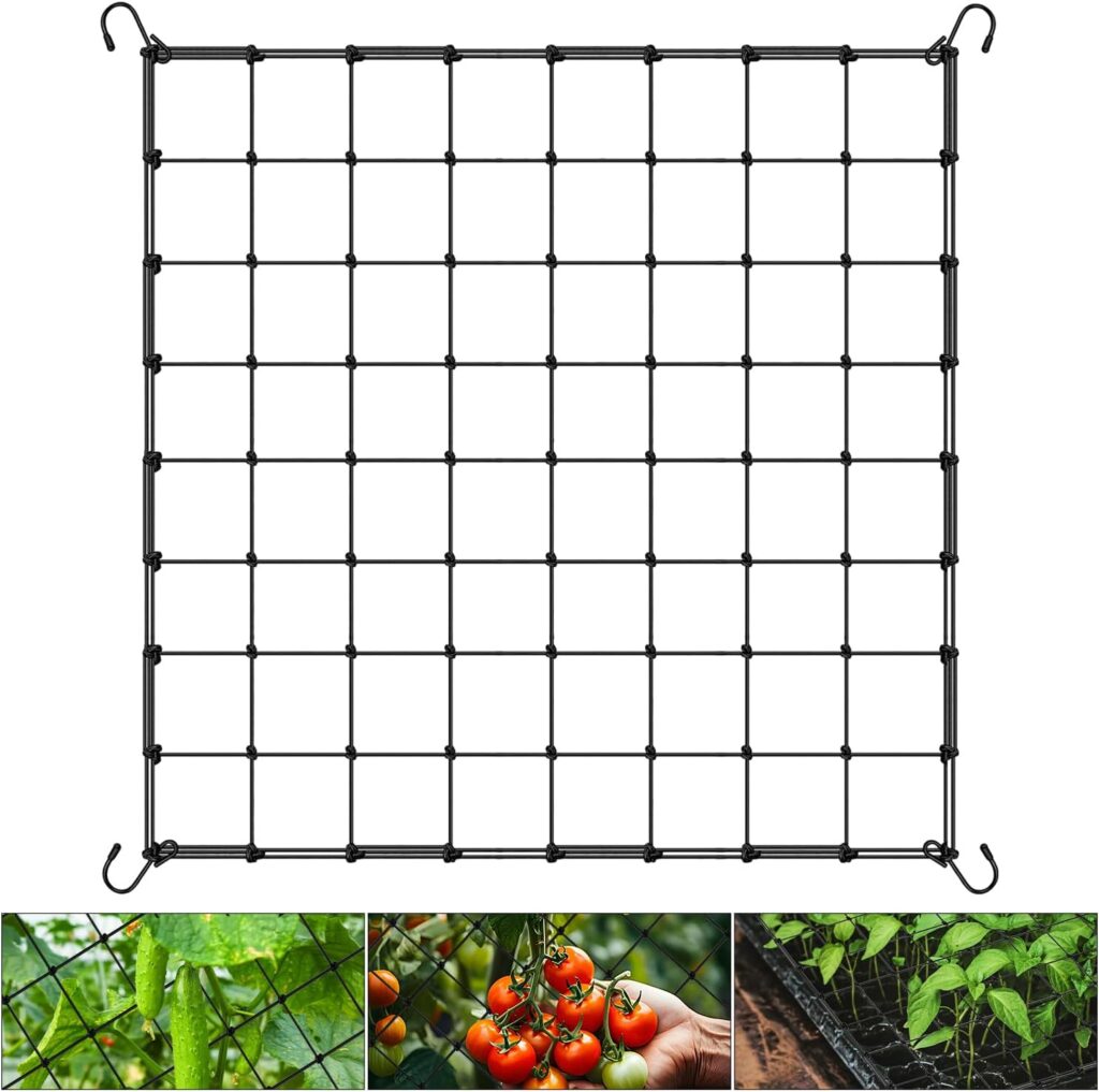 SCROG NET