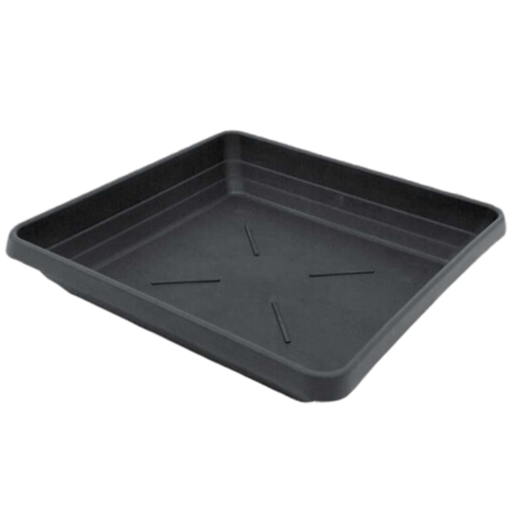 Saucer – high edge