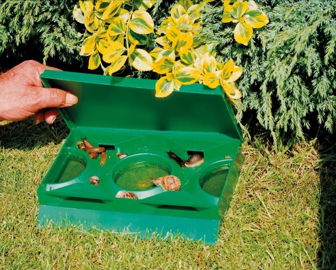 Snail trap – effective without the use of poison