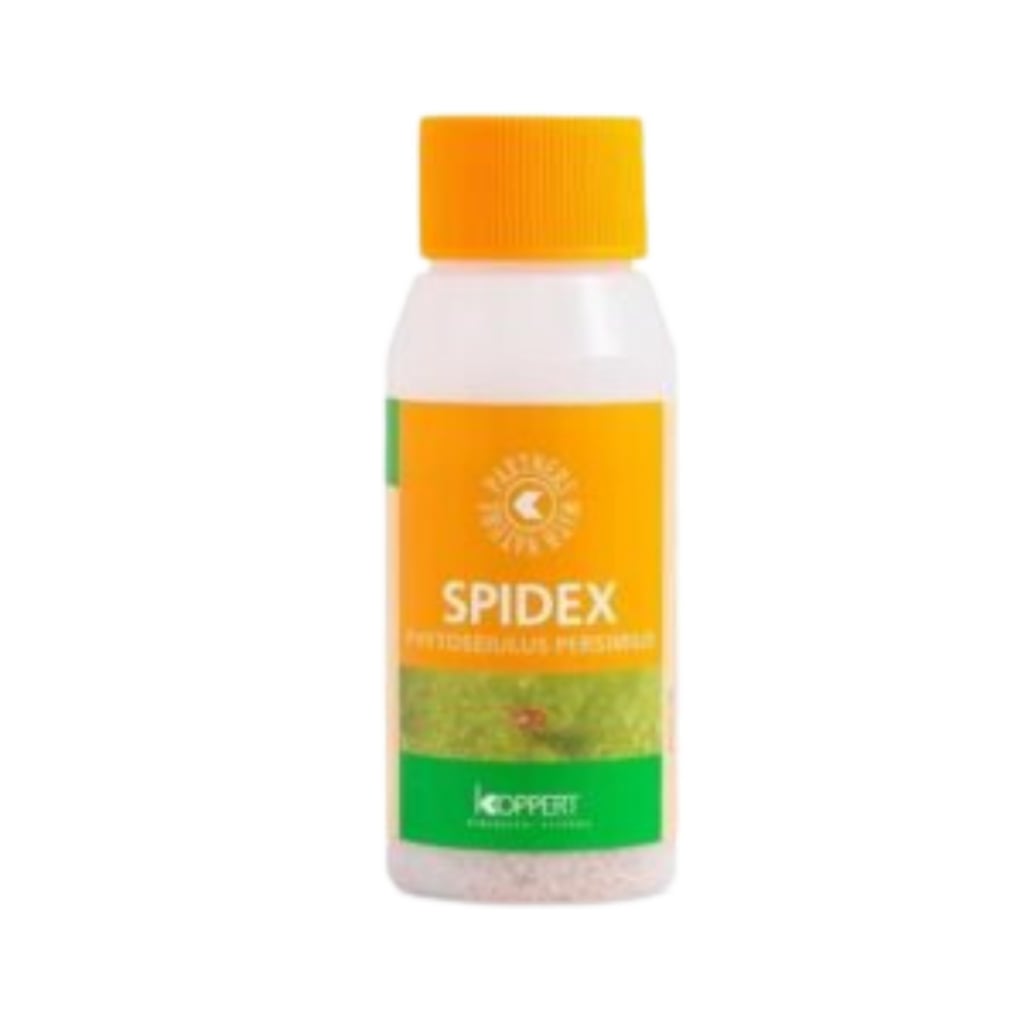 Spidex 2000 pcs – against spider mites