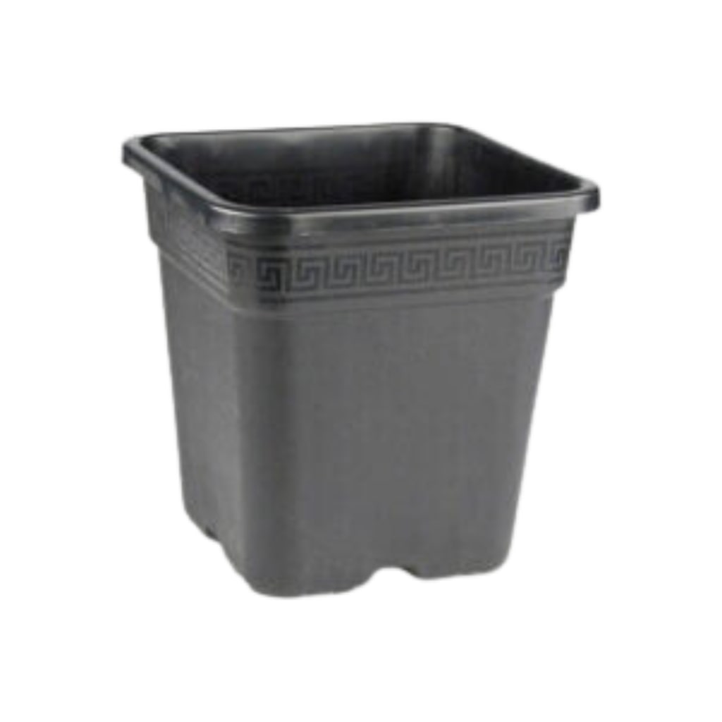 Square Quality Pot