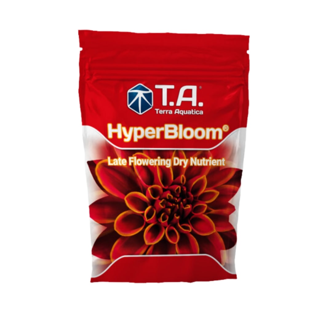 T.A Hyper Bloom