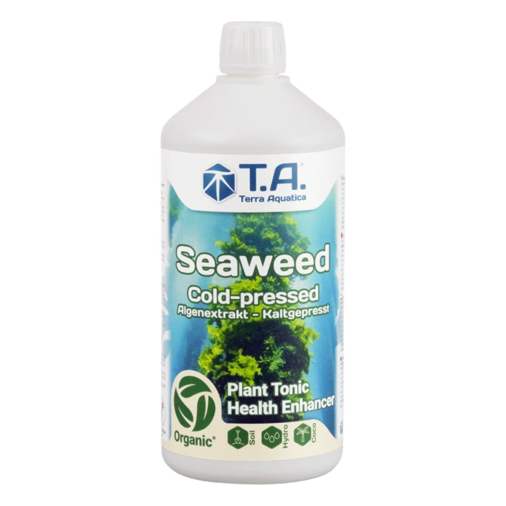 Terra Aquatica – Seaweed