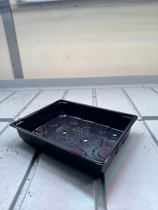 Microgreens begyndersæt