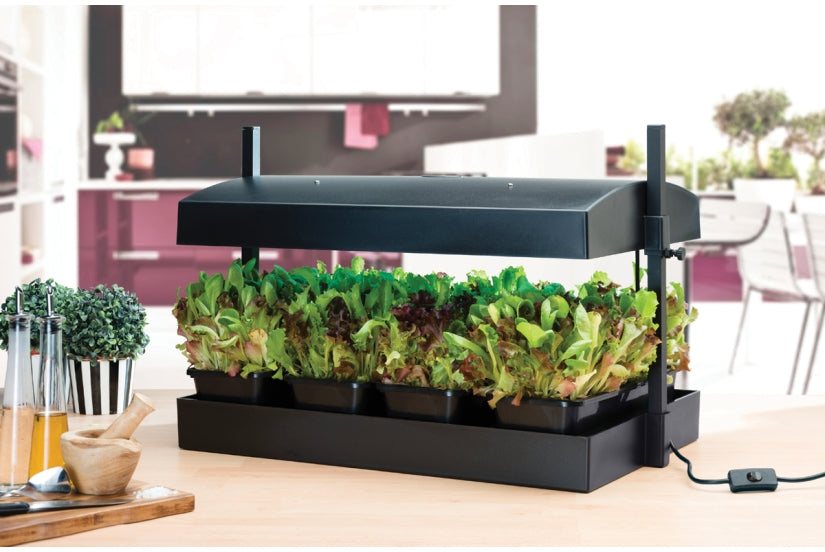 Medium Growsystem Mikrogrønt, salat + Krydderurter