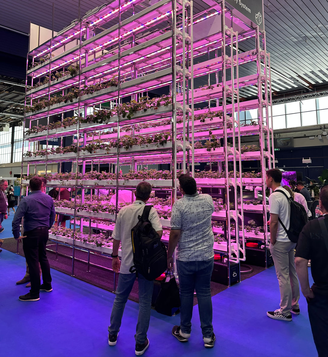 Specialized Irrigation + Lighting Planning For Your Vertical Farming Facility