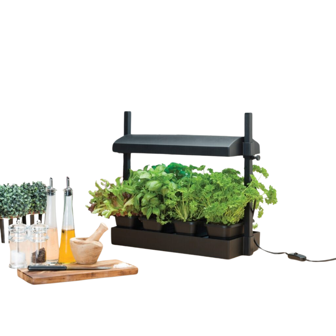 Mini Grow System Mikrogrønt, salat + Krydderurter
