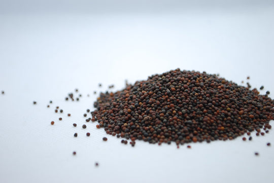kyssäkaali Microgreens Luomu