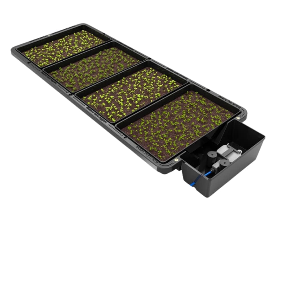 Tray2Grow