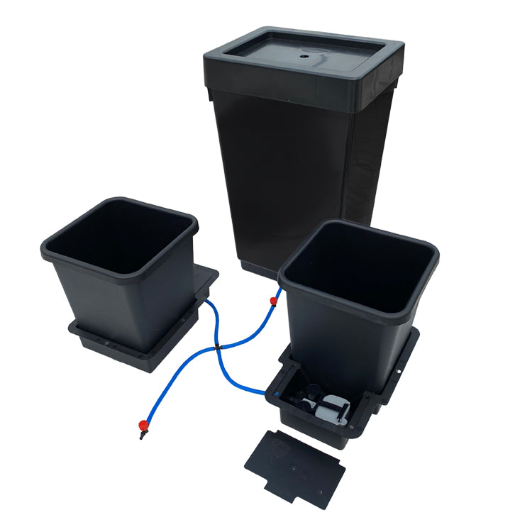 Autopot 1 potte