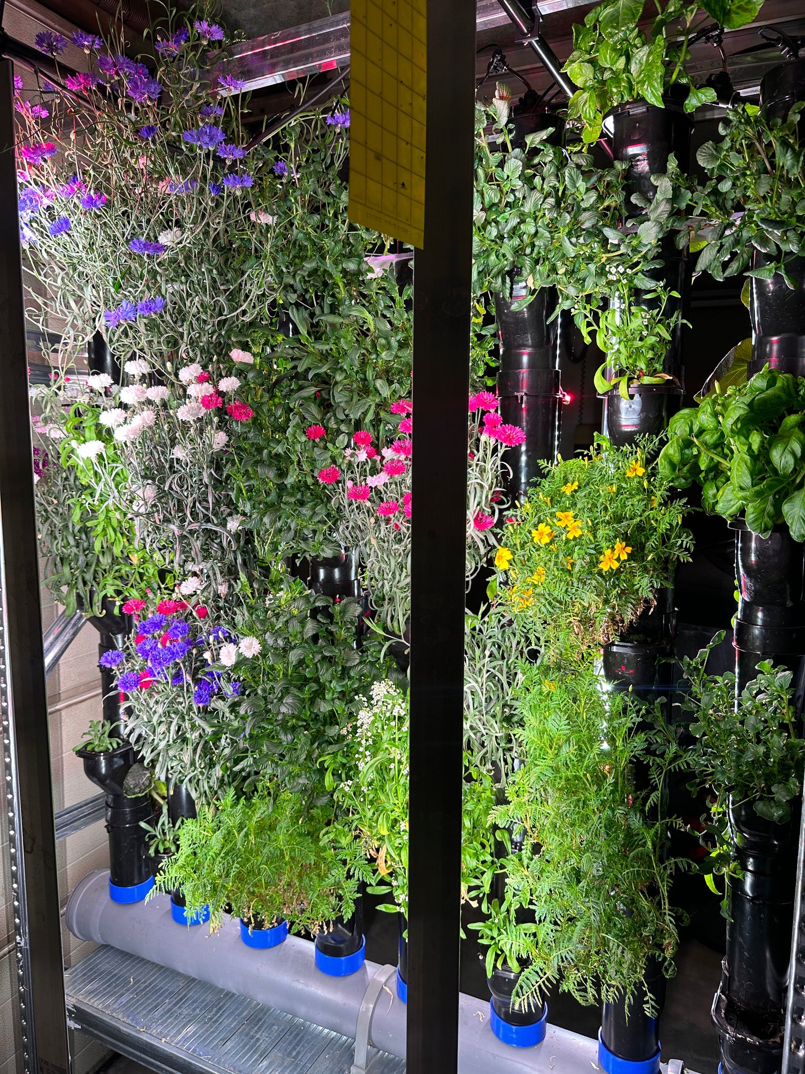 Indoor Farming Year-Round