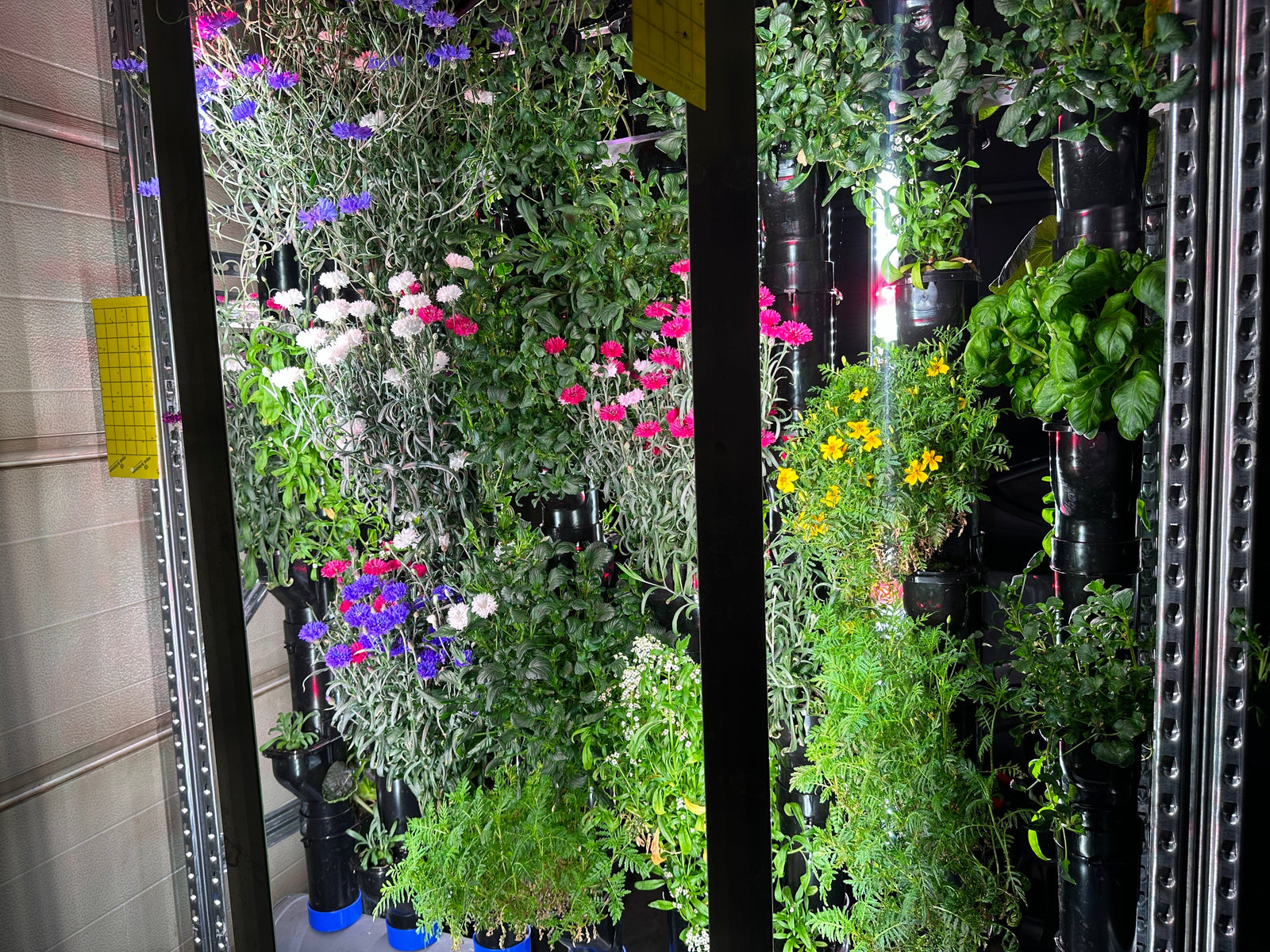 How to Achieve Hydroponic Success in Europe: A Regional Guide