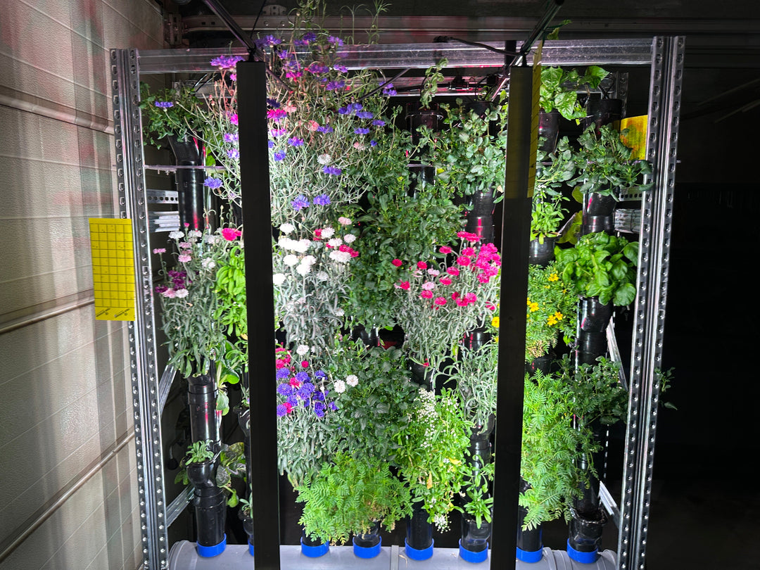 Indoor Farming: The Complete Guide to Growing Food Indoors