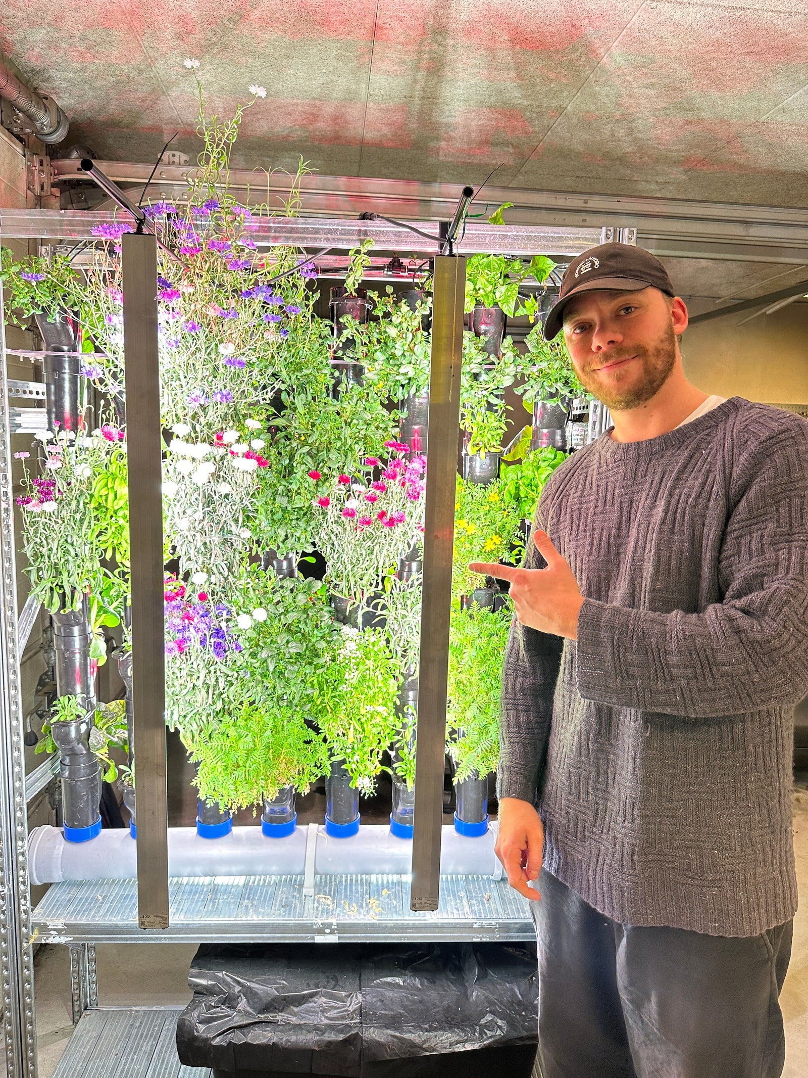 Hydroponics Success: Why Seed Quality Matters in Vertical Farming