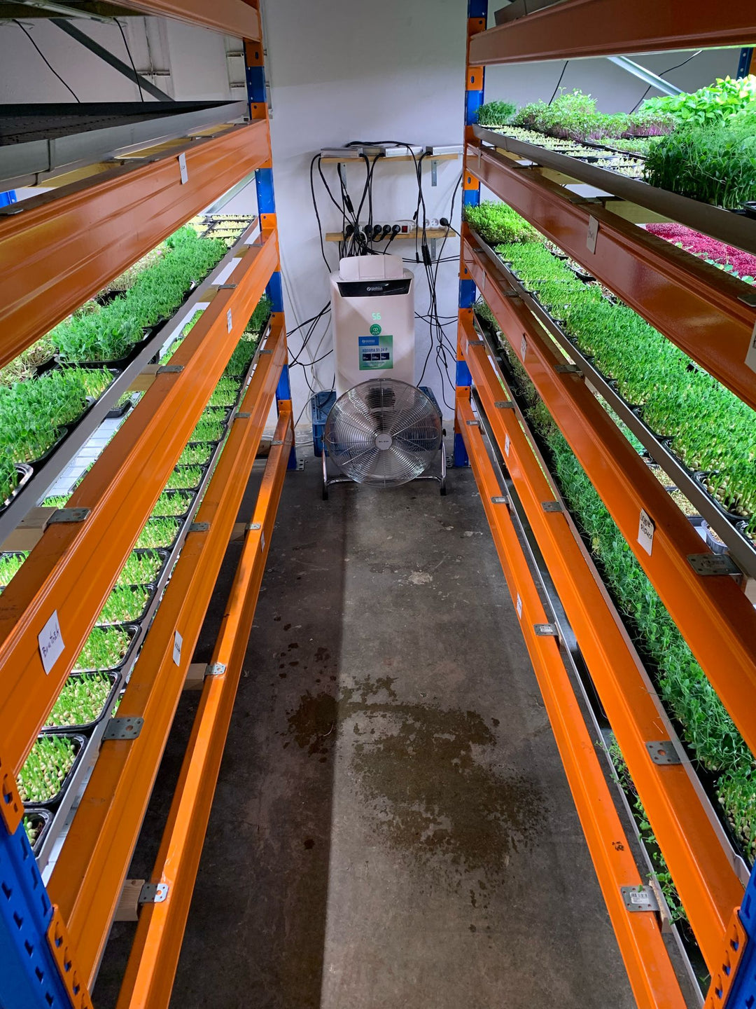 Indoor Farming and Food Security