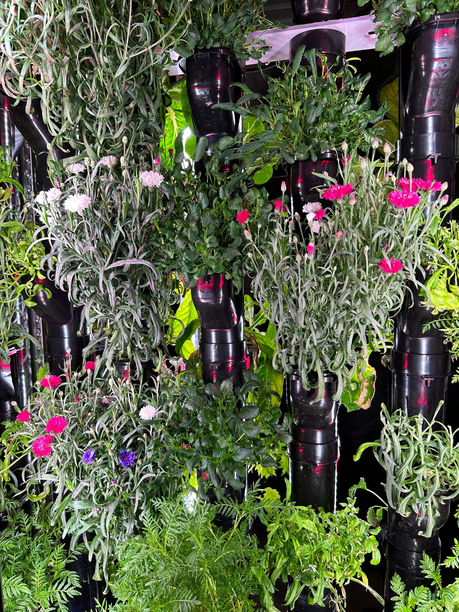 Mastering the Clock: How Long Should You Leave Grow Lights On?