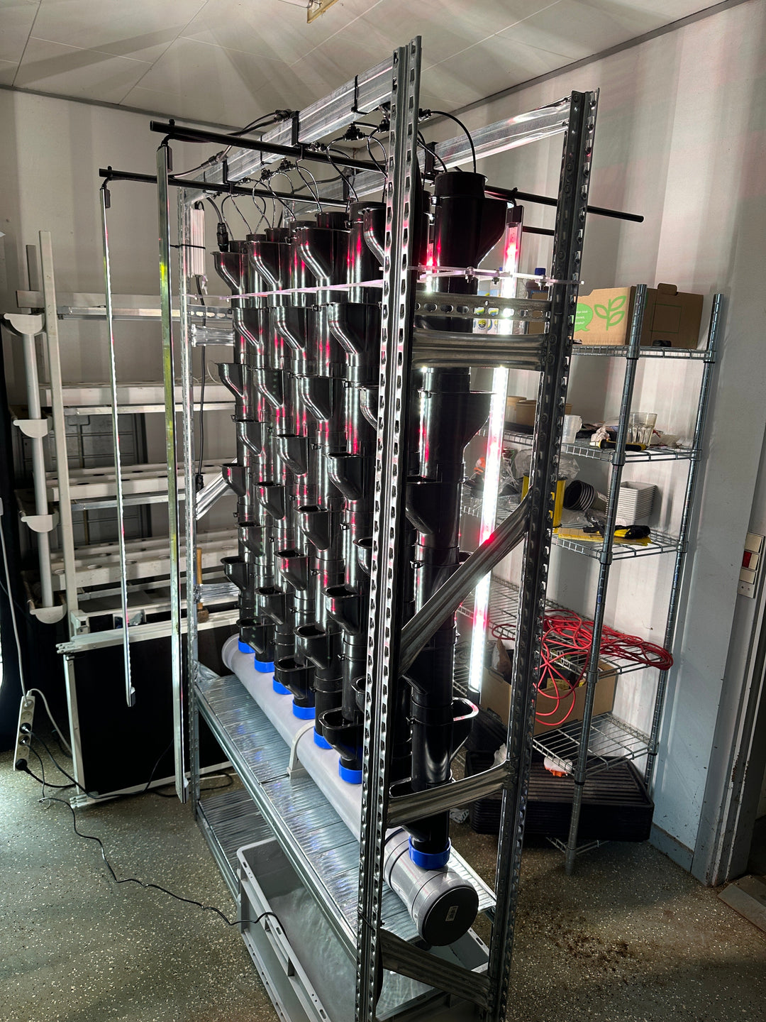 Cultivating National Resilience: How Indoor Farming Fosters Food Independence and Security
