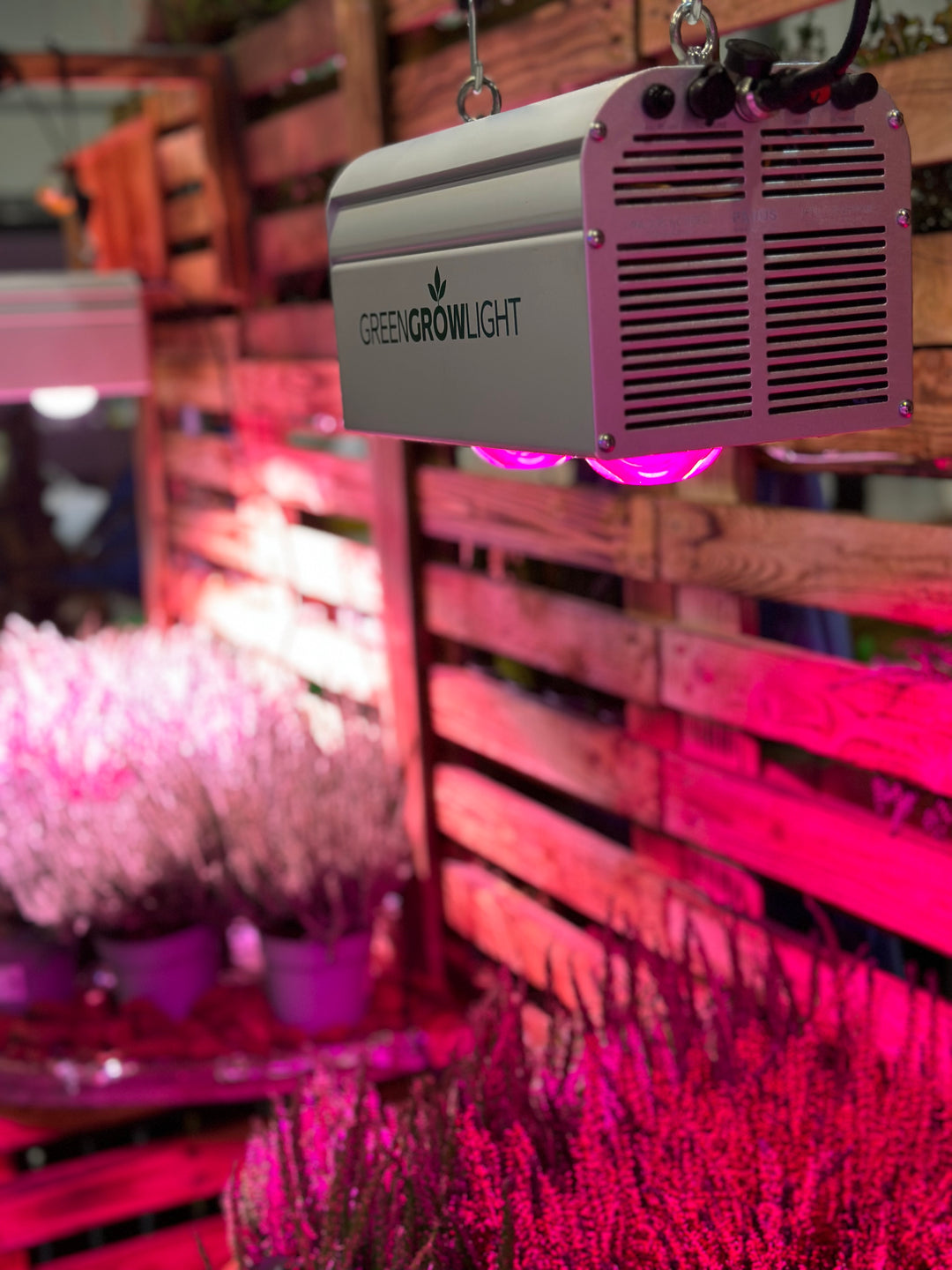 LED Lighting and Plant Growth: A Bright Future