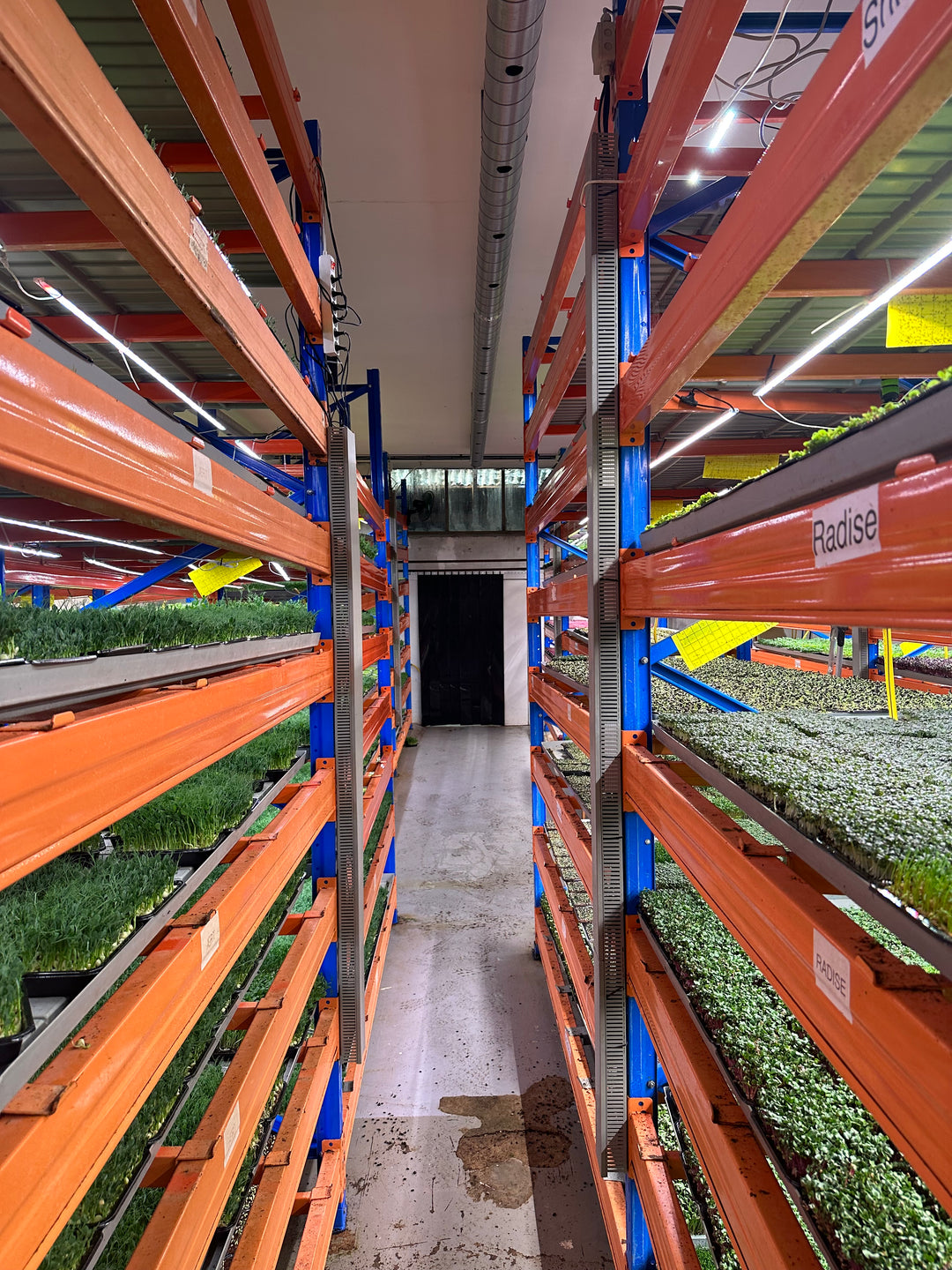 Vertical Farming