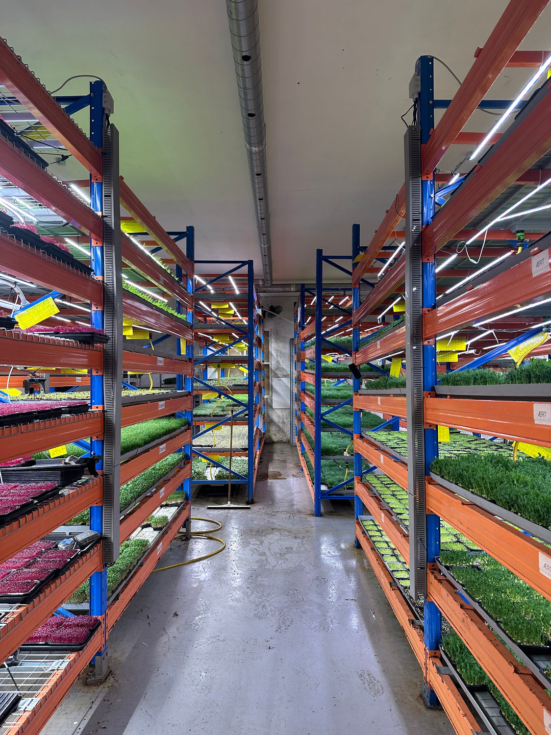 Your roadmap to €1.000.000 in yearly sales growing microgreens