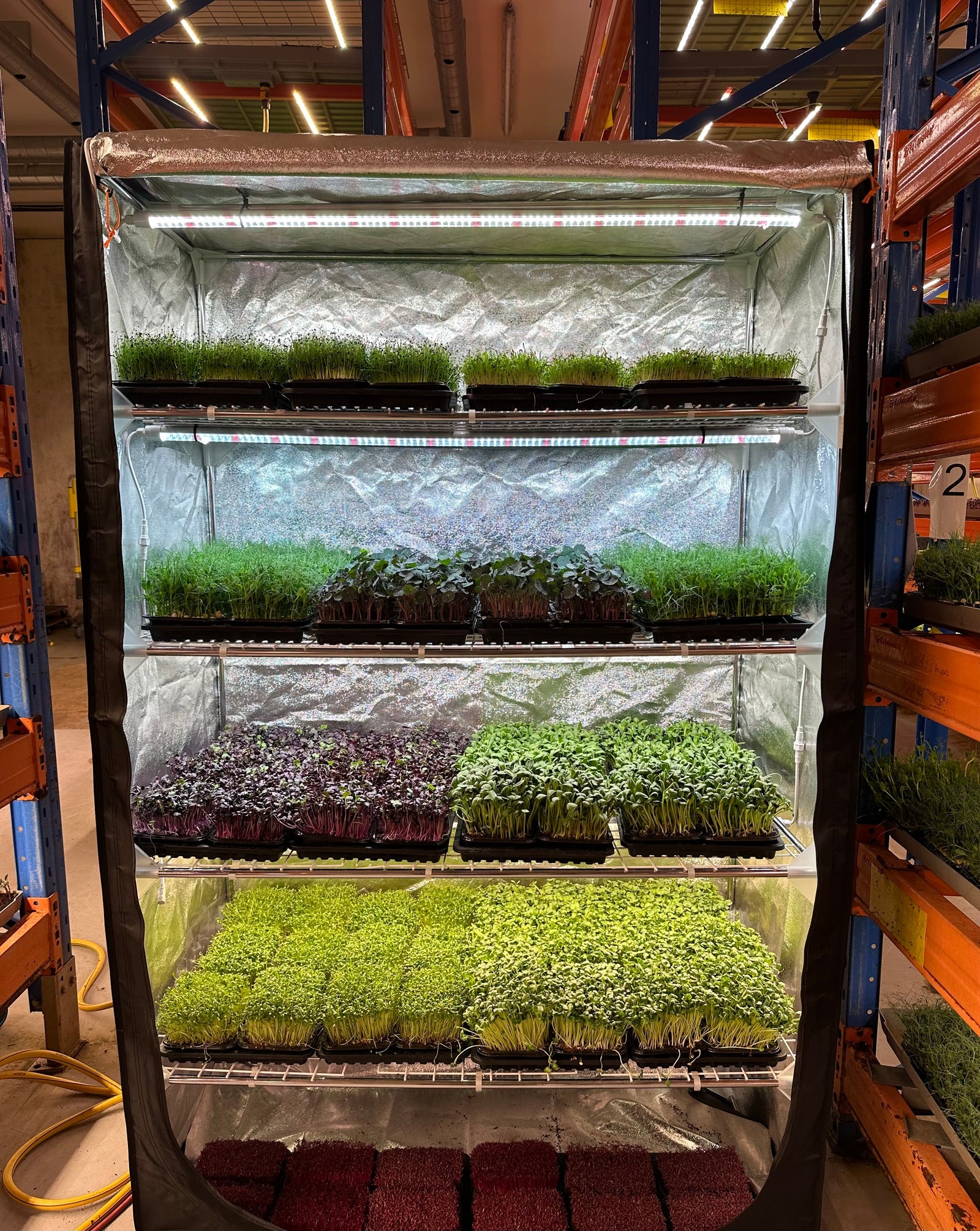 Grow Tents and Indoor Food Farming