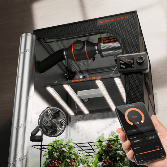 Spider Farmer Complete Kit – 90*90*180cm