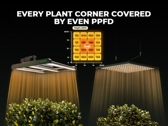 Mars Hydro 150W LED Grow Lights For 80x80cm Grow Tent