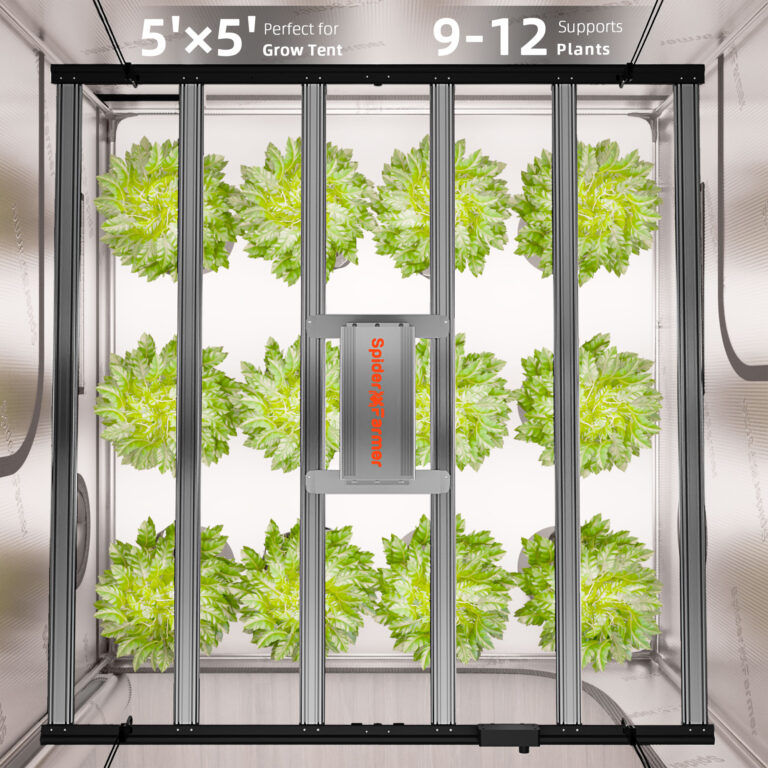 Spider Farmer Complete Kit – 300*150*200cm