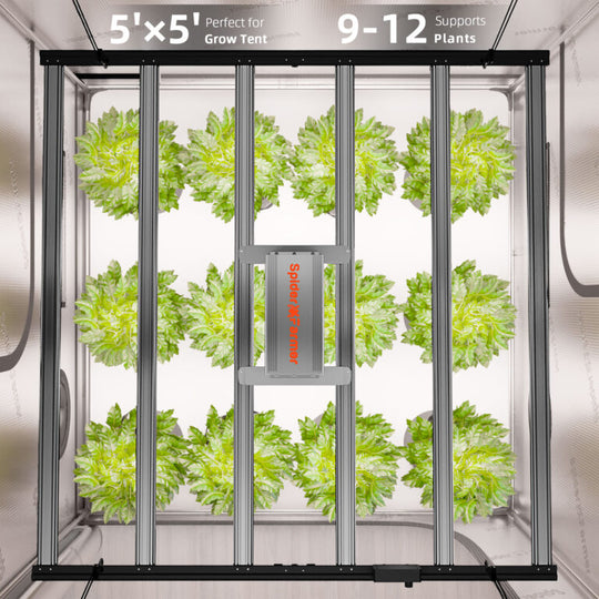 Spider Farmer Complete Kit – 300*150*200cm