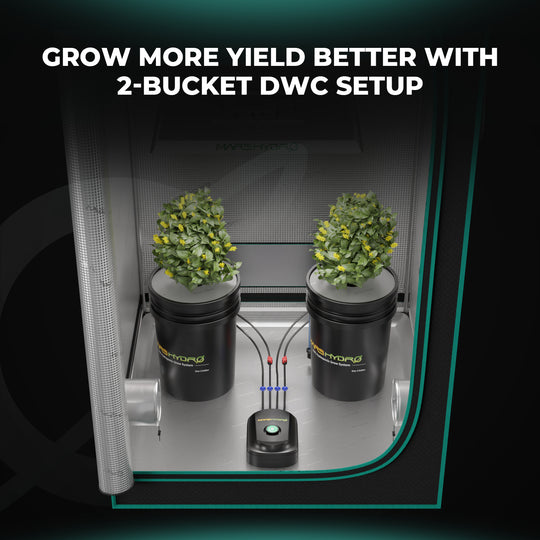 Premium 5-Gallon DWC Hydroponic System Kit with 2 Buckets